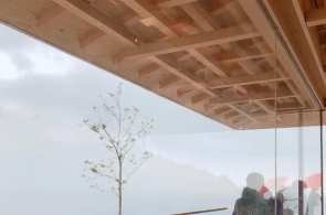 蜜雪冰城入编，瑞幸嫁入朱门，这届茶饮联名有众卷